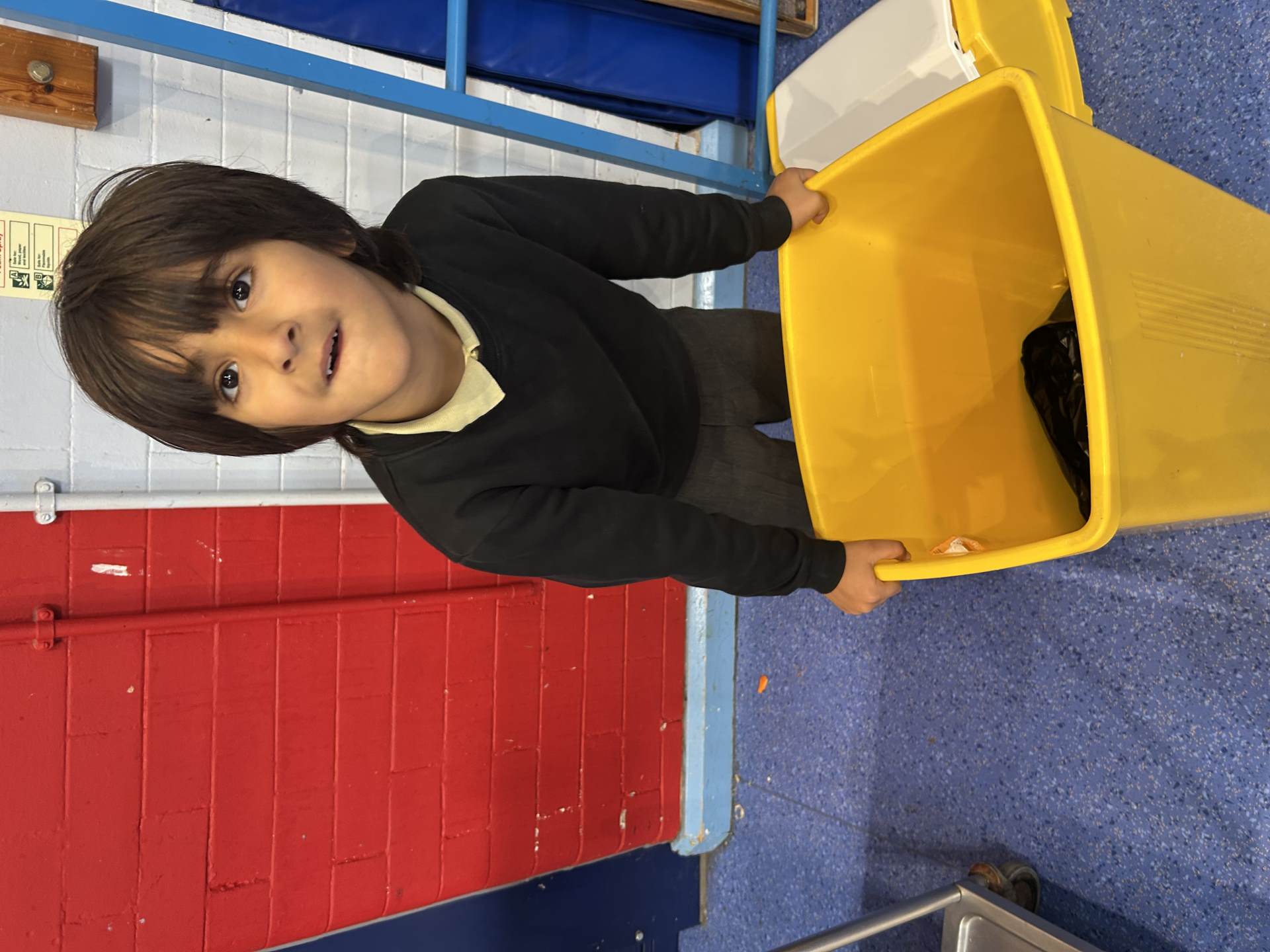 Classifying materials 